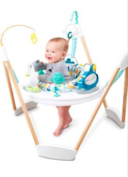 Evenflo Baby Bouncer