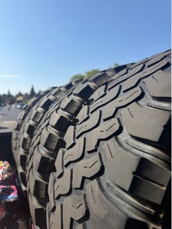 Falken wildpeak mt
