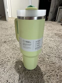 Stanley tumbler Mint Green 40 OZ