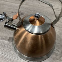 Bergner Whistling Kettle