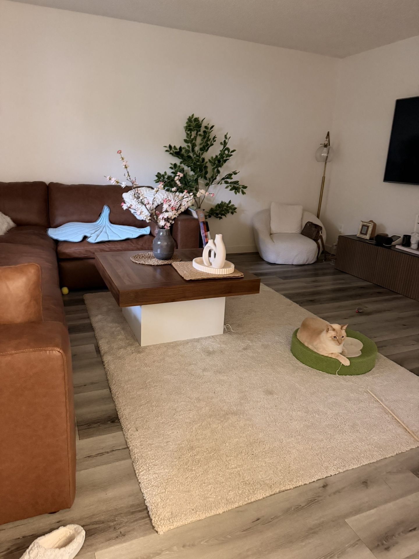 Living Room Table And Rug For Sell