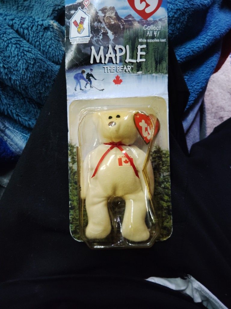 Maple The Bear