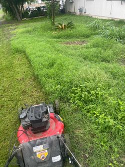 Landscaping