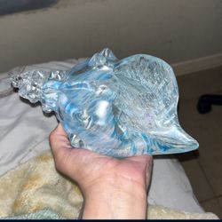Shell Decoration