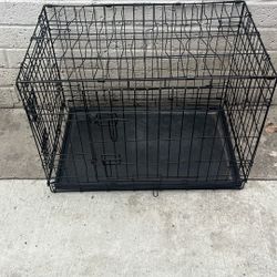Dog Case