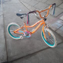 Lost And Found Schwinn