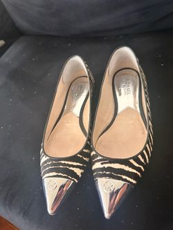 Zebra Flats