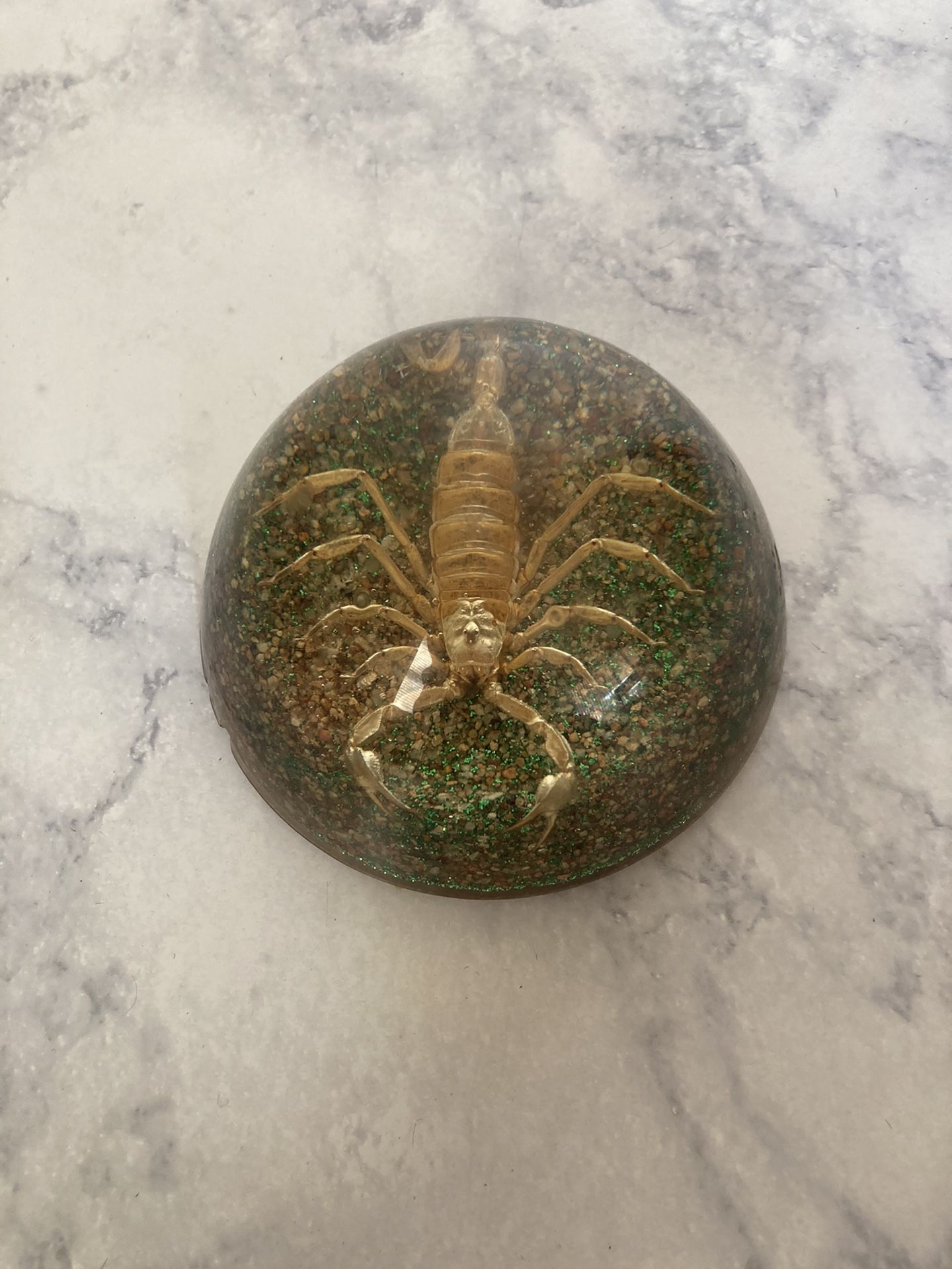 3.5 inch Large Scorpion Paperweight
