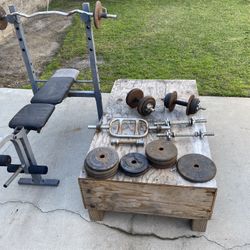 Weight Bench & Curling Bar Plus Weights