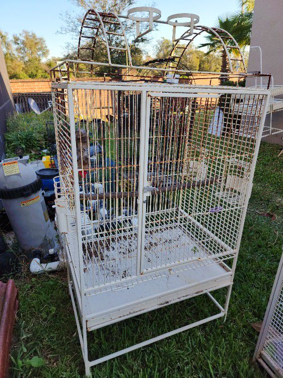 Cage Macaw Cockatoo Partot 