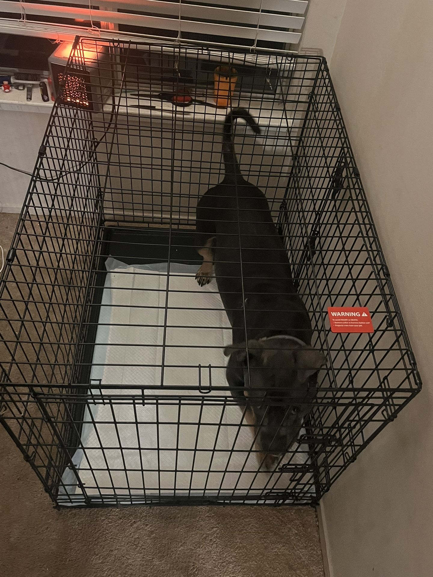 XL Dog Cage
