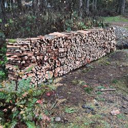Firewood