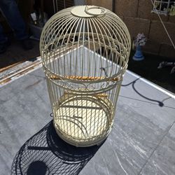 Bird Cage 