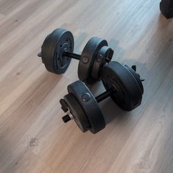 20 Lbs Dumbbells