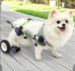 Dog Wheelchair for back legs