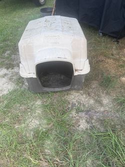 Medium Dog house