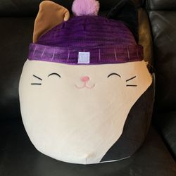 Squishmallows Cam