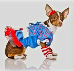 Rag Doll Dog Costume by Leg Avenue