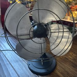 Fan 