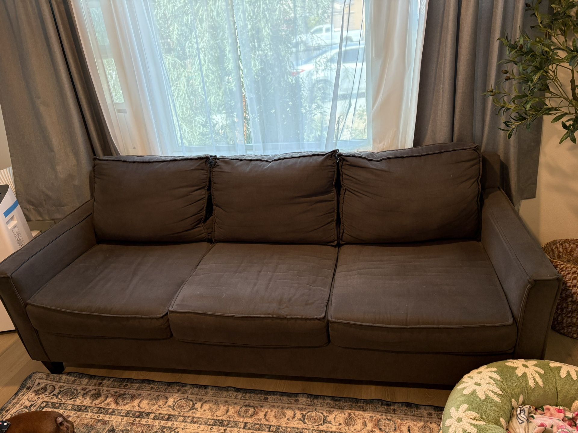 Couch For Sale