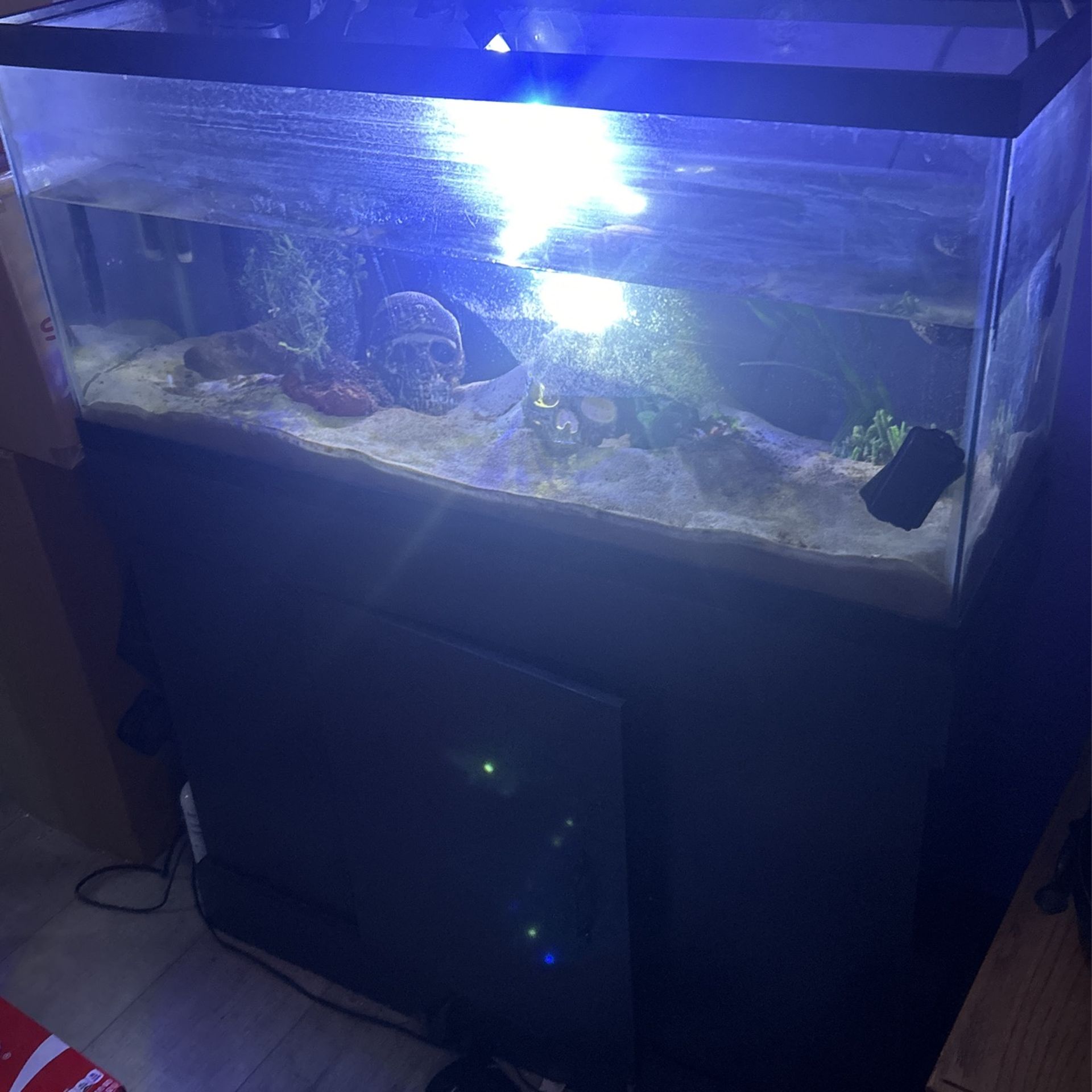 30 Gallon Fish Tank With Stand