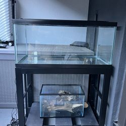 40 Gallon Breeder Aquarium Bundle – Stand + Fluval Plant 3.0 LED