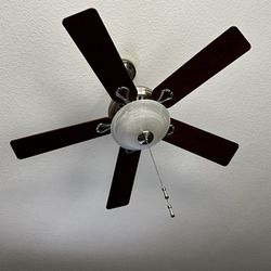 Ceiling Fan 