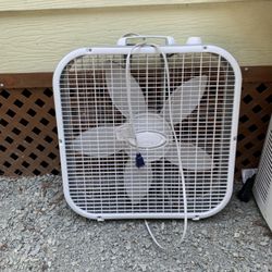 Fan