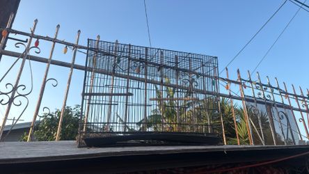 Bird cage