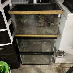 20 Gallon Tanks