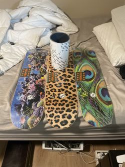 Skateboard Decks 