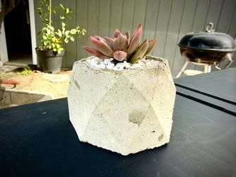 Custom Concrete Pot