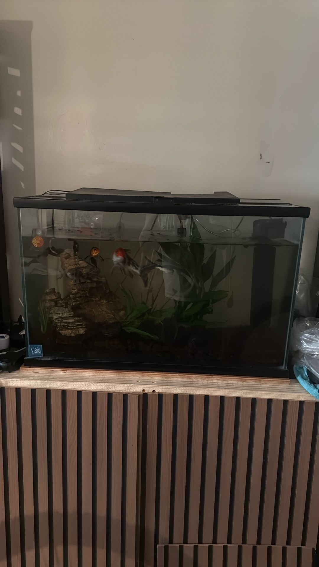 Fish Tank