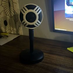 Microphone 