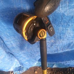 Penn Reel Fishing Pole