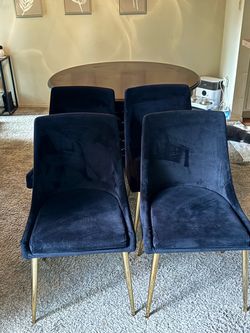 Velvet black dining chairs trendy