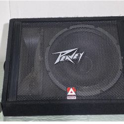 Peavy Speaker
