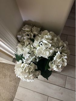 Tall Silver hammered vase with White Hydrangeas