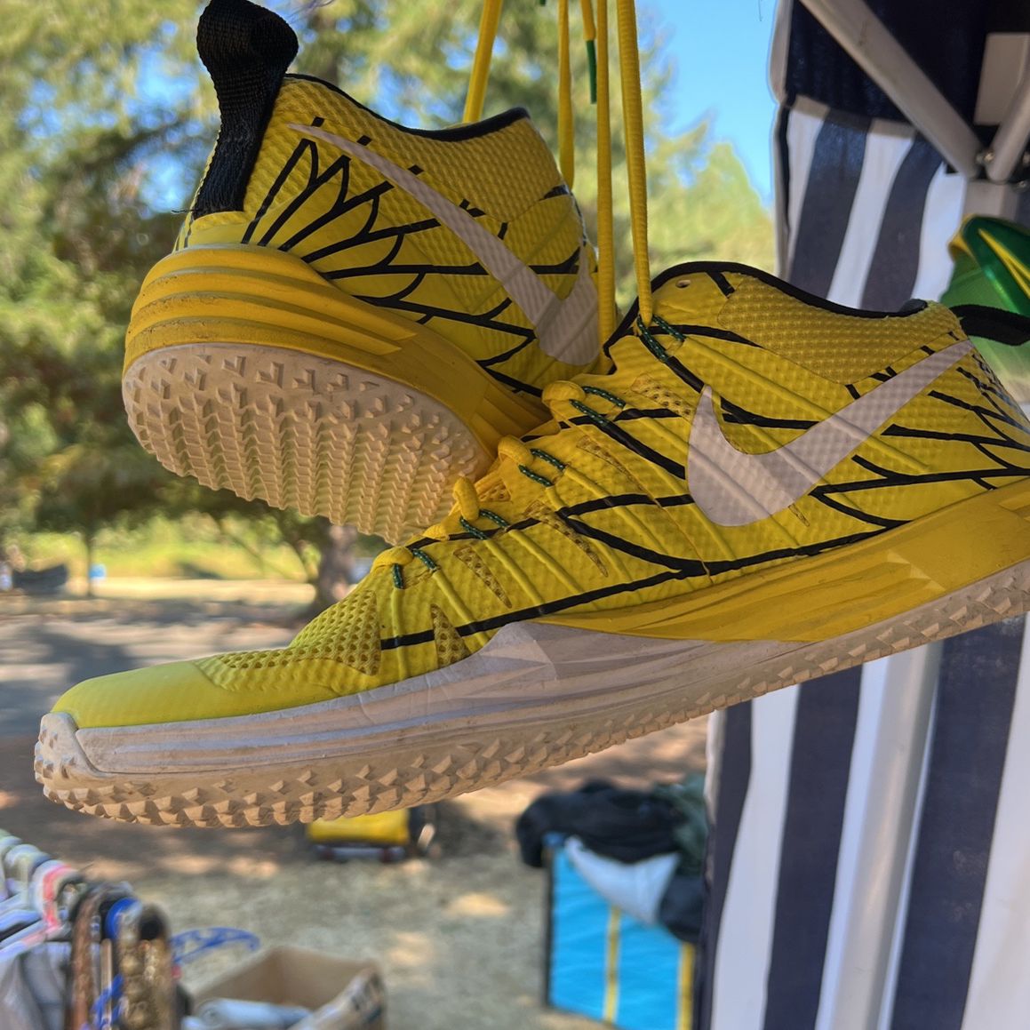Oregon Ducks Nike Flywire Men’s Shoes 