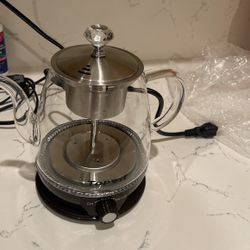 Topwit Electric Teakettle 