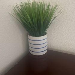 Fake Plant