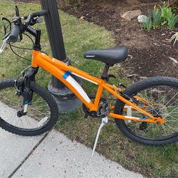 20” Diamondback Cobra