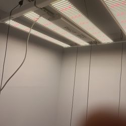 Led Light