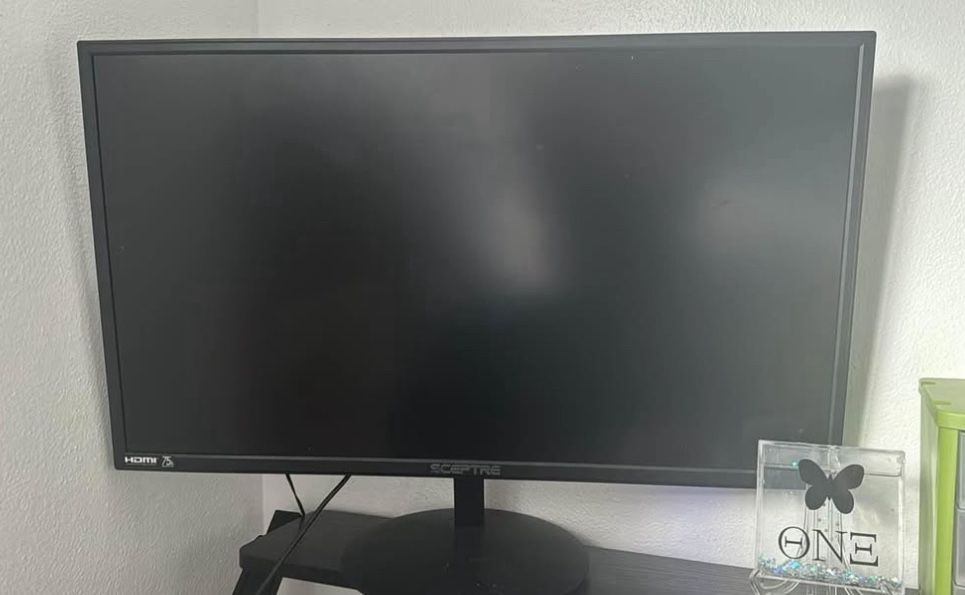 NEED GONE ASAP - Computer Monitor