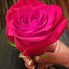 Iram