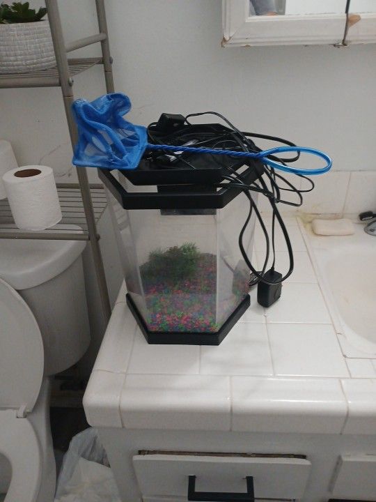 Small Fish Tank