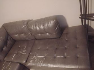 Free Sectional
