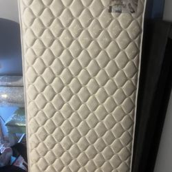 Twin Mattress 
