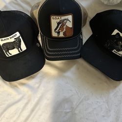 Animal hats