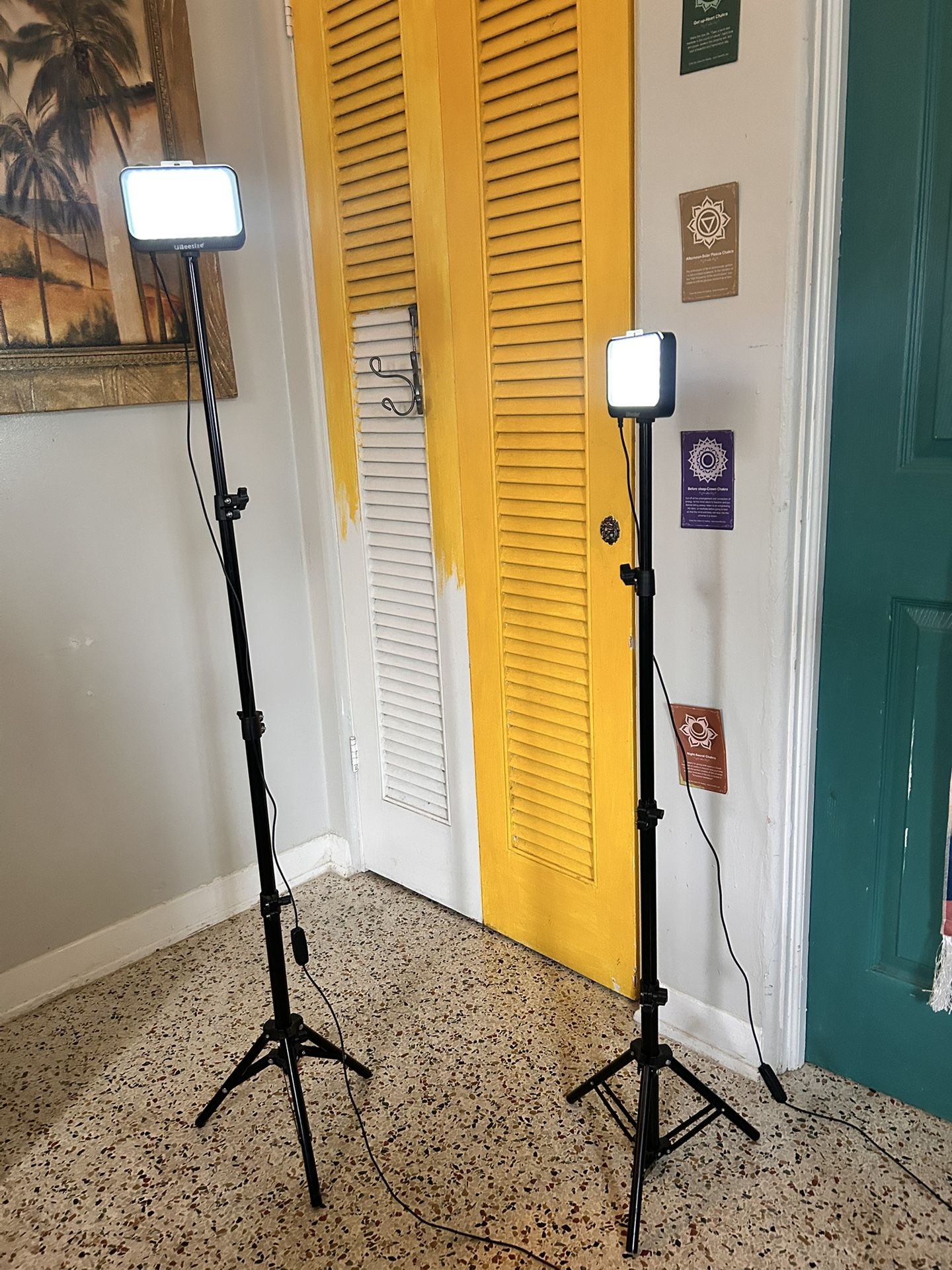 Streaming Camera Lights